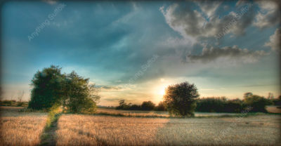 Evening Walk, Suffolk by Steve Stoddart