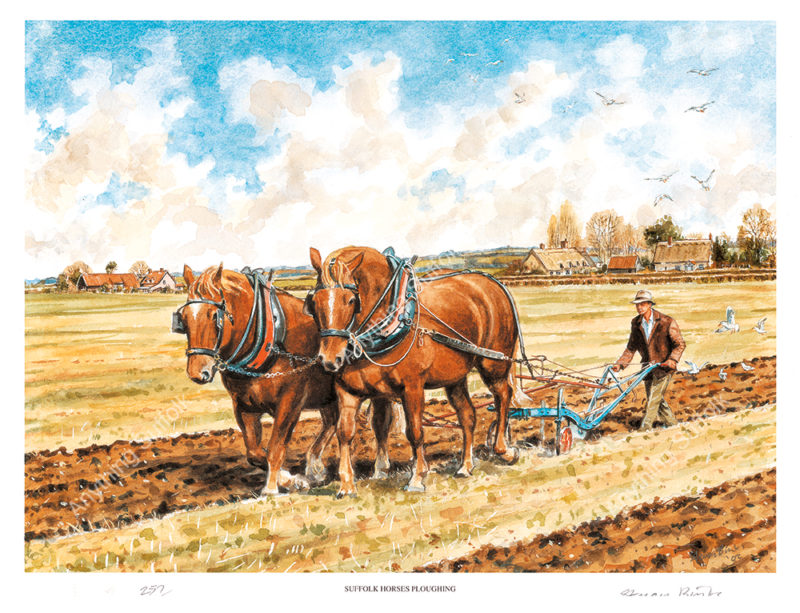 Suffolk Horses Ploughing by Steven Binks