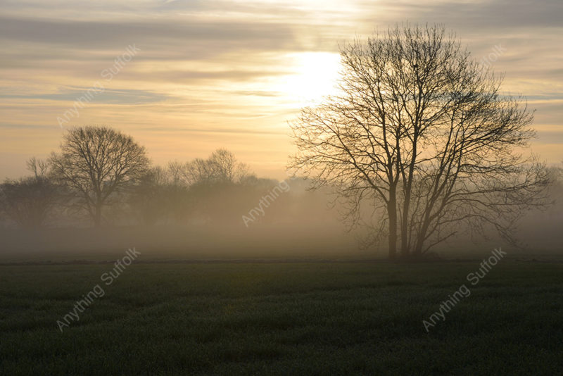 Misty Suffolk Landscape by James Ellis