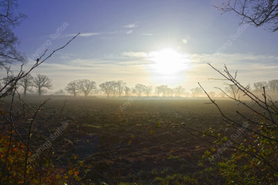 Ploughed Field by James Ellis
